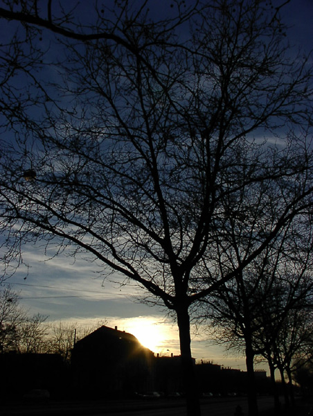 Spaziergang in den Sonnenuntergang