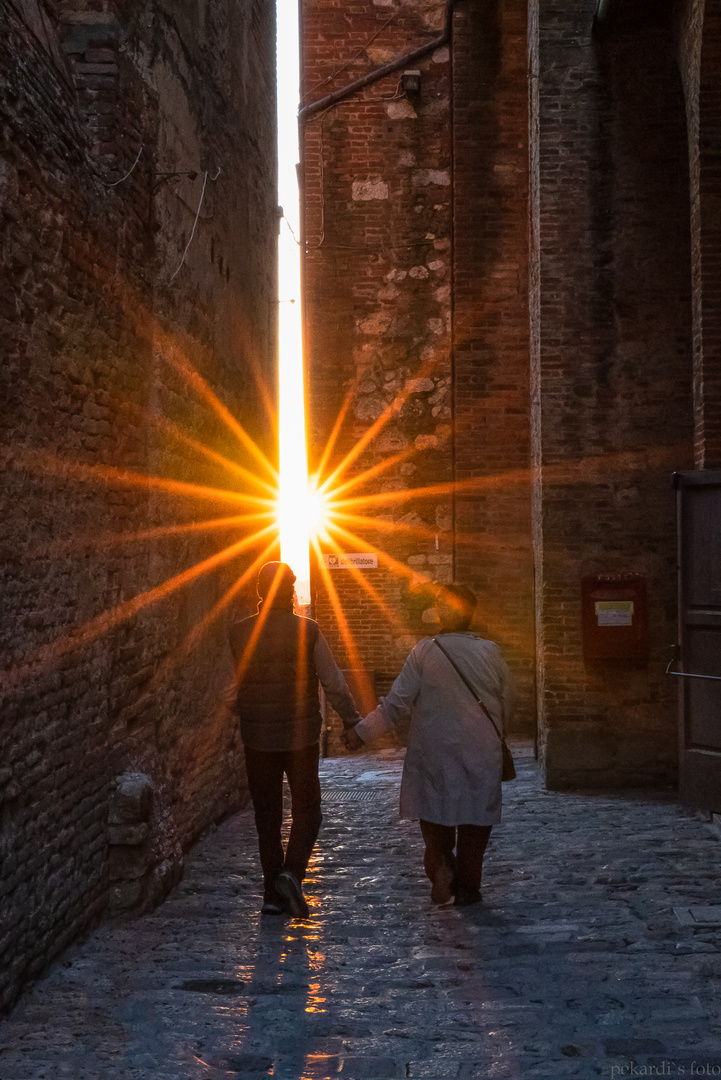 Spaziergang in den Sonnenuntergang