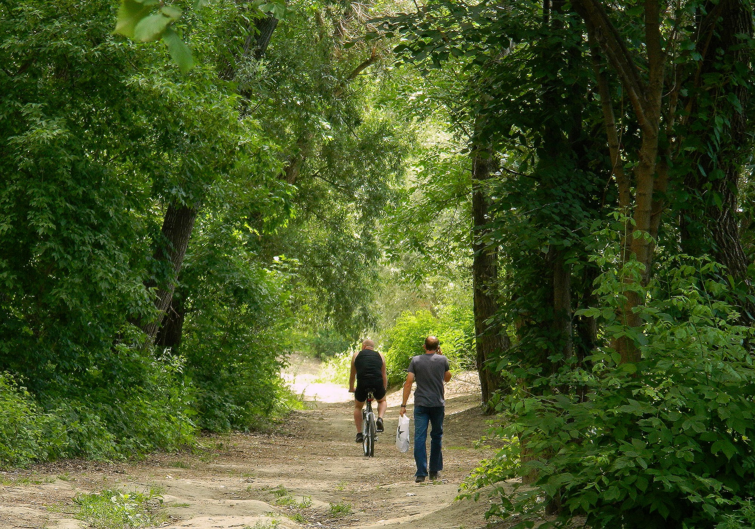 Spaziergang in den Wäldern entlang des Flusses