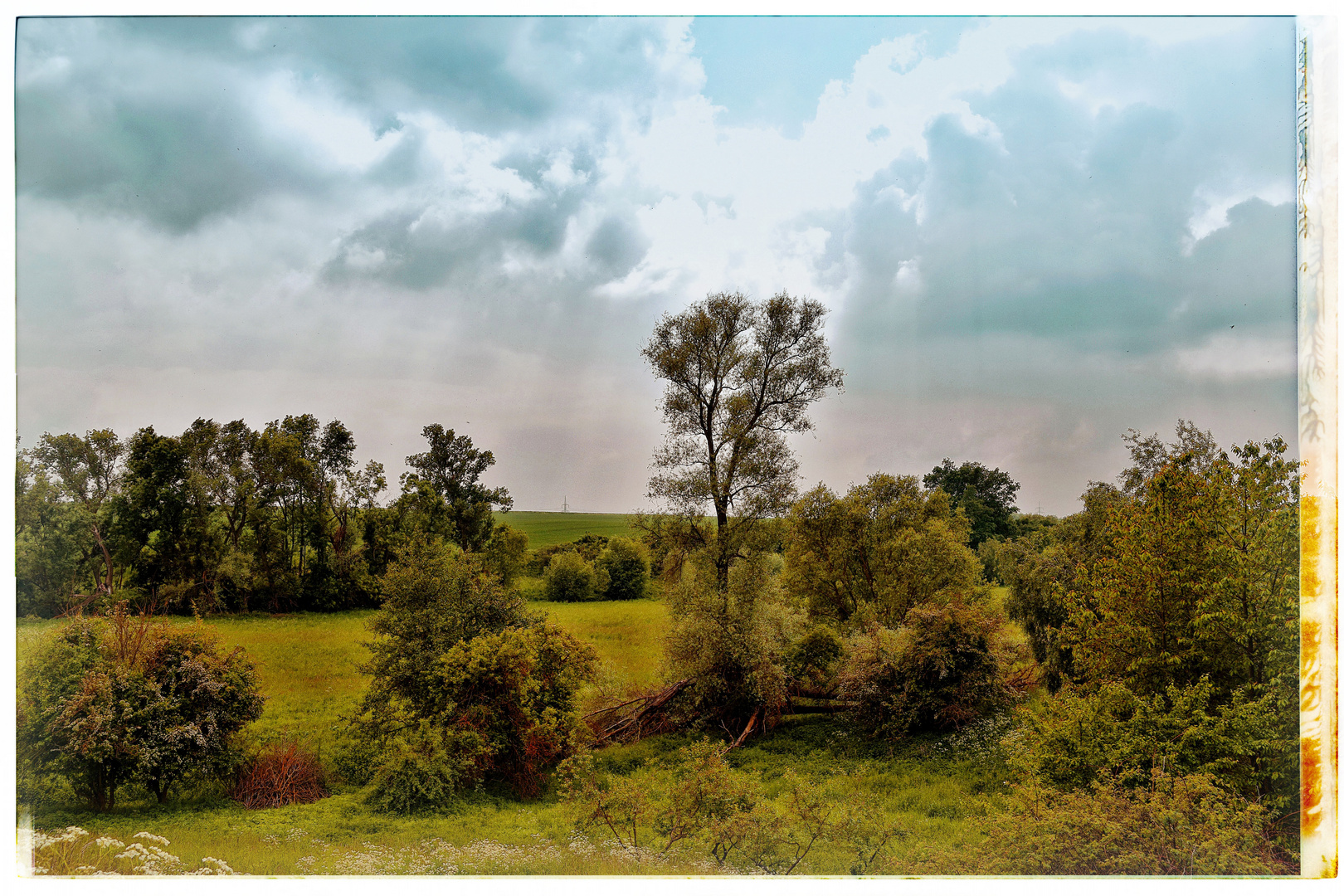 Spaziergang in den Wiesen 2