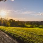 Spaziergang in der Abendsonne