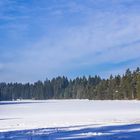 Spaziergang in der Adventszeit