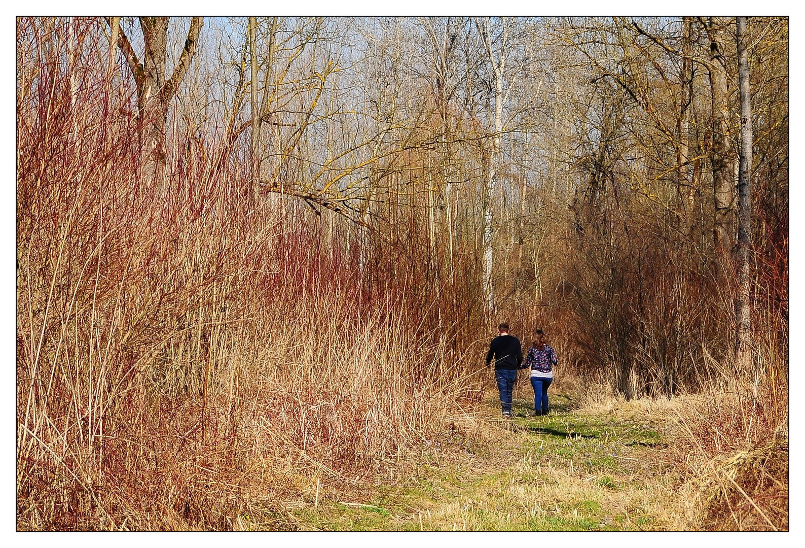 Spaziergang in der Au