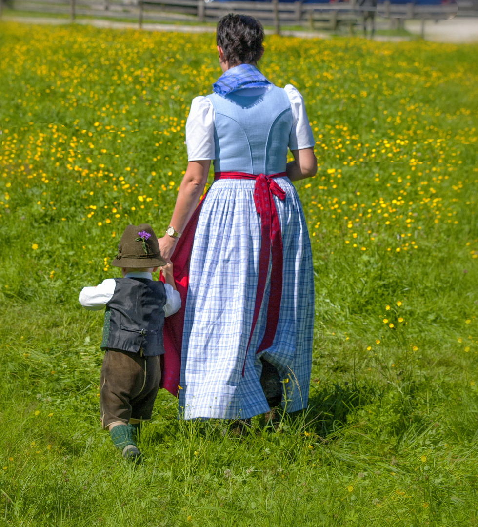 Spaziergang in der Blumenwiese