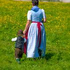 Spaziergang in der Blumenwiese