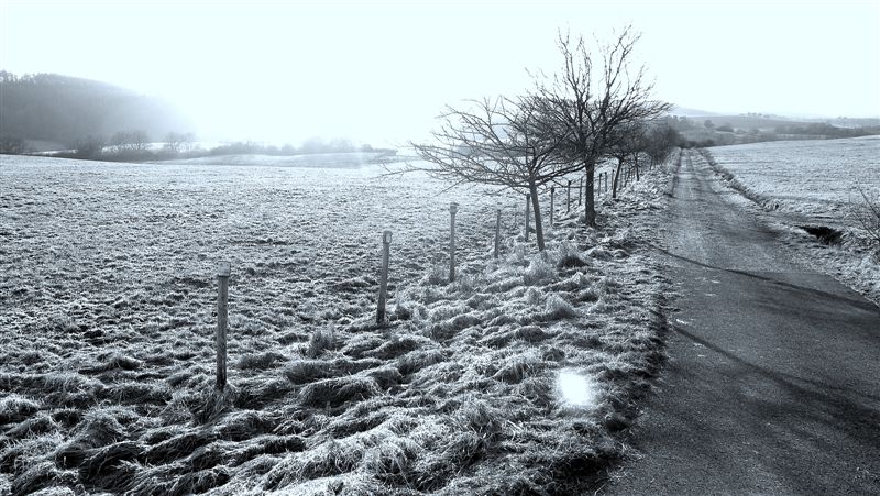 Spaziergang in der Eifel