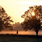 Spaziergang in der Frühe