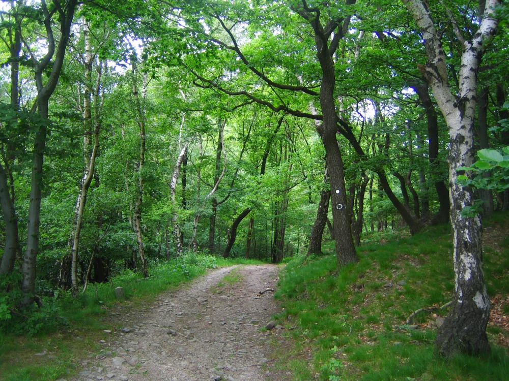 Spaziergang in der Heimat