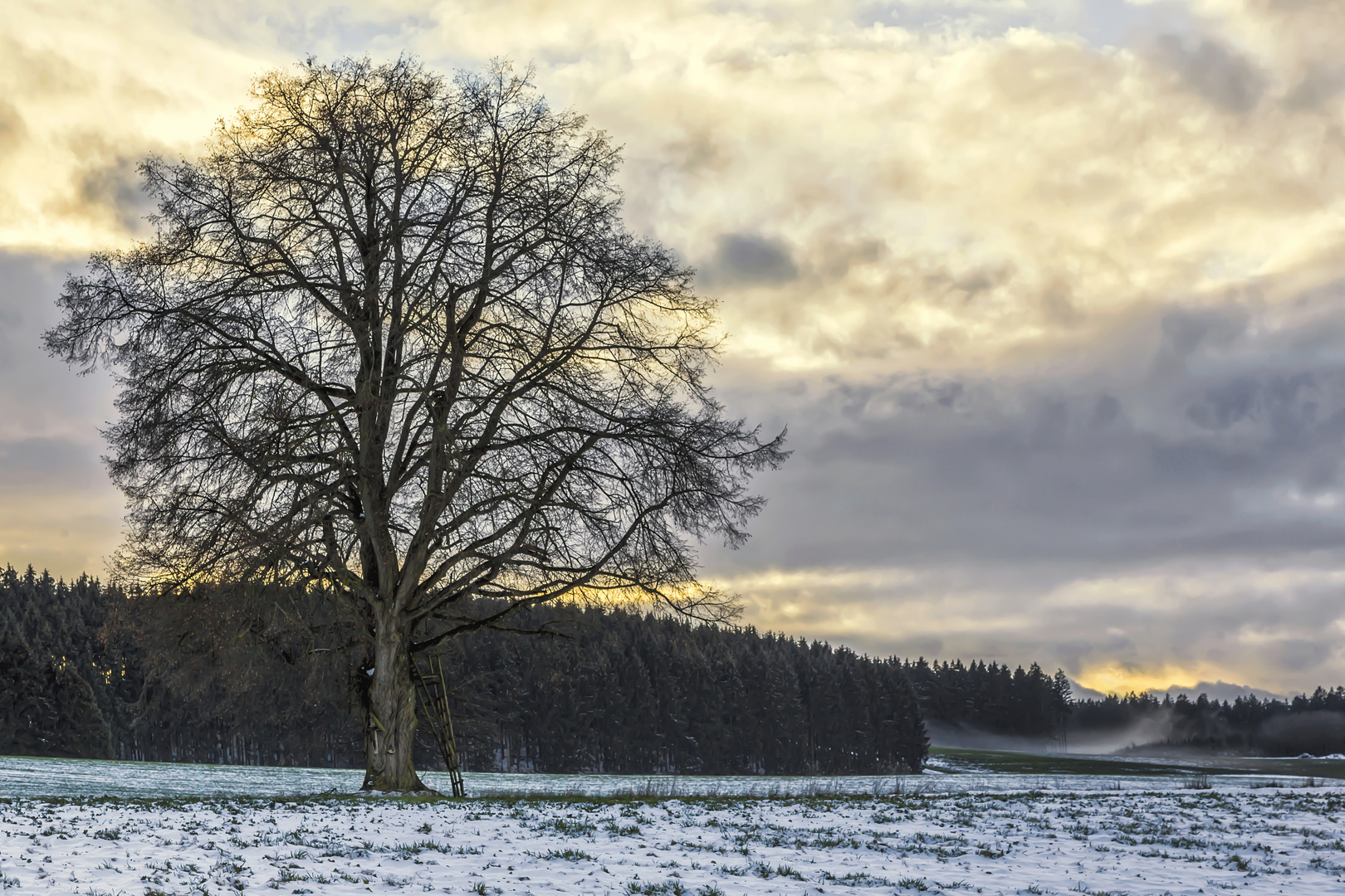 Spaziergang in der Heimat