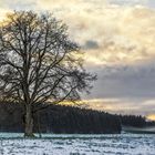 Spaziergang in der Heimat