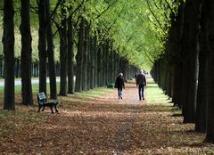 Spaziergang in der Herrenhäuser Allee