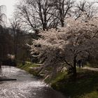 Spaziergang in der Lichtenthalerallee in Baden-Baden