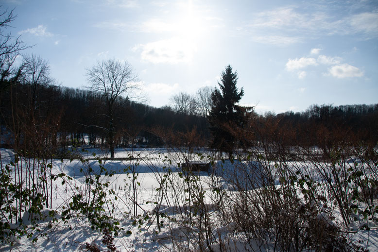 spaziergang in der mittagssonne