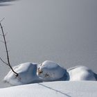 spaziergang in der mittagssonne