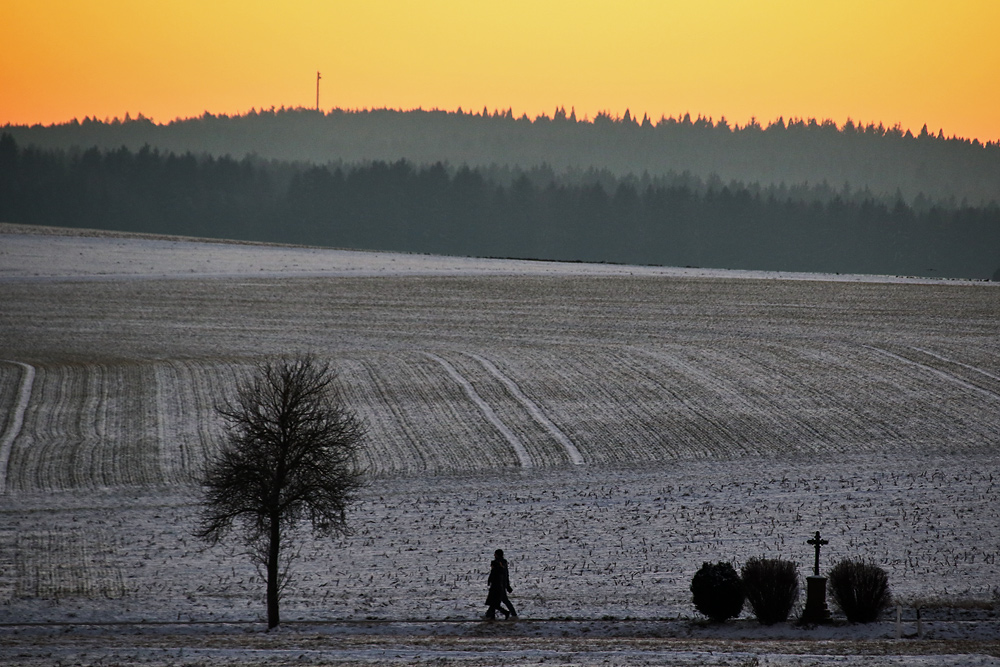 Spaziergang in der Natur