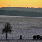 Spaziergang in der Natur