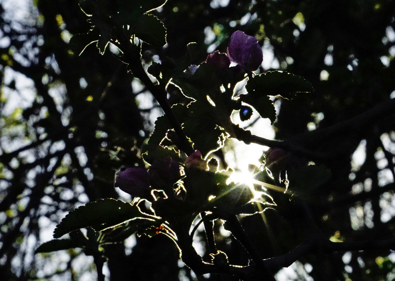 Spaziergang in der Natur