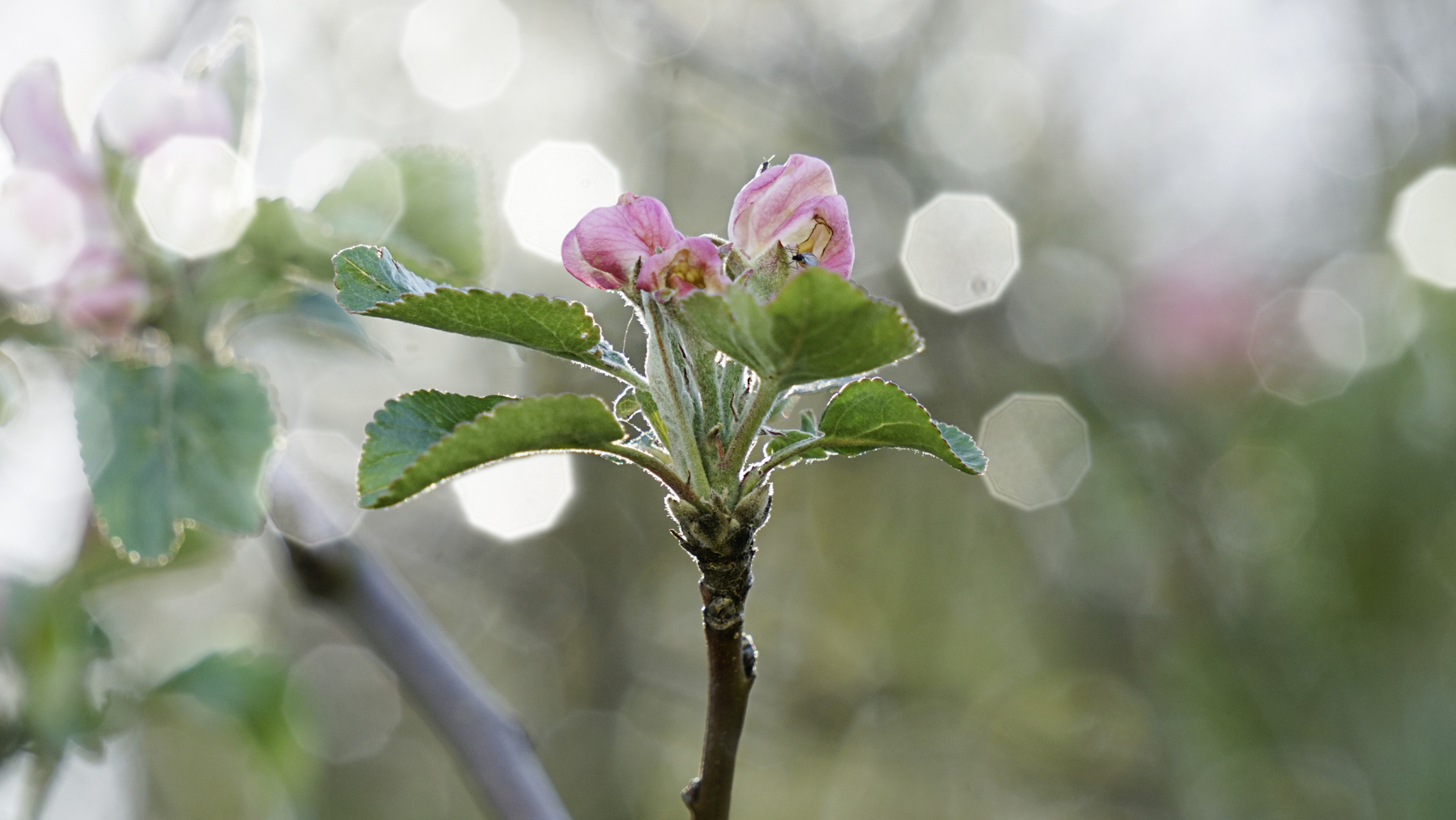 Spaziergang in der Natur