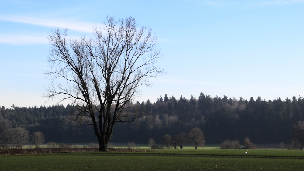 Spaziergang in der Natur