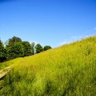 Spaziergang in der Natur