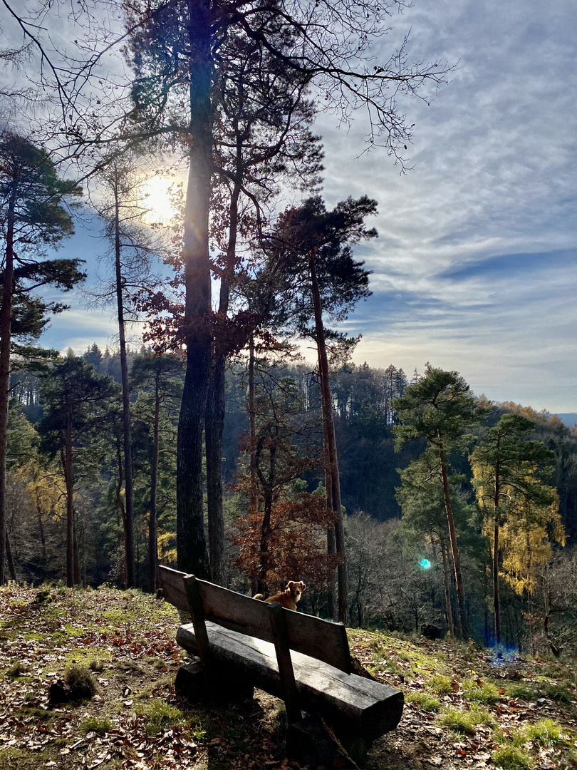 Spaziergang in der sonne