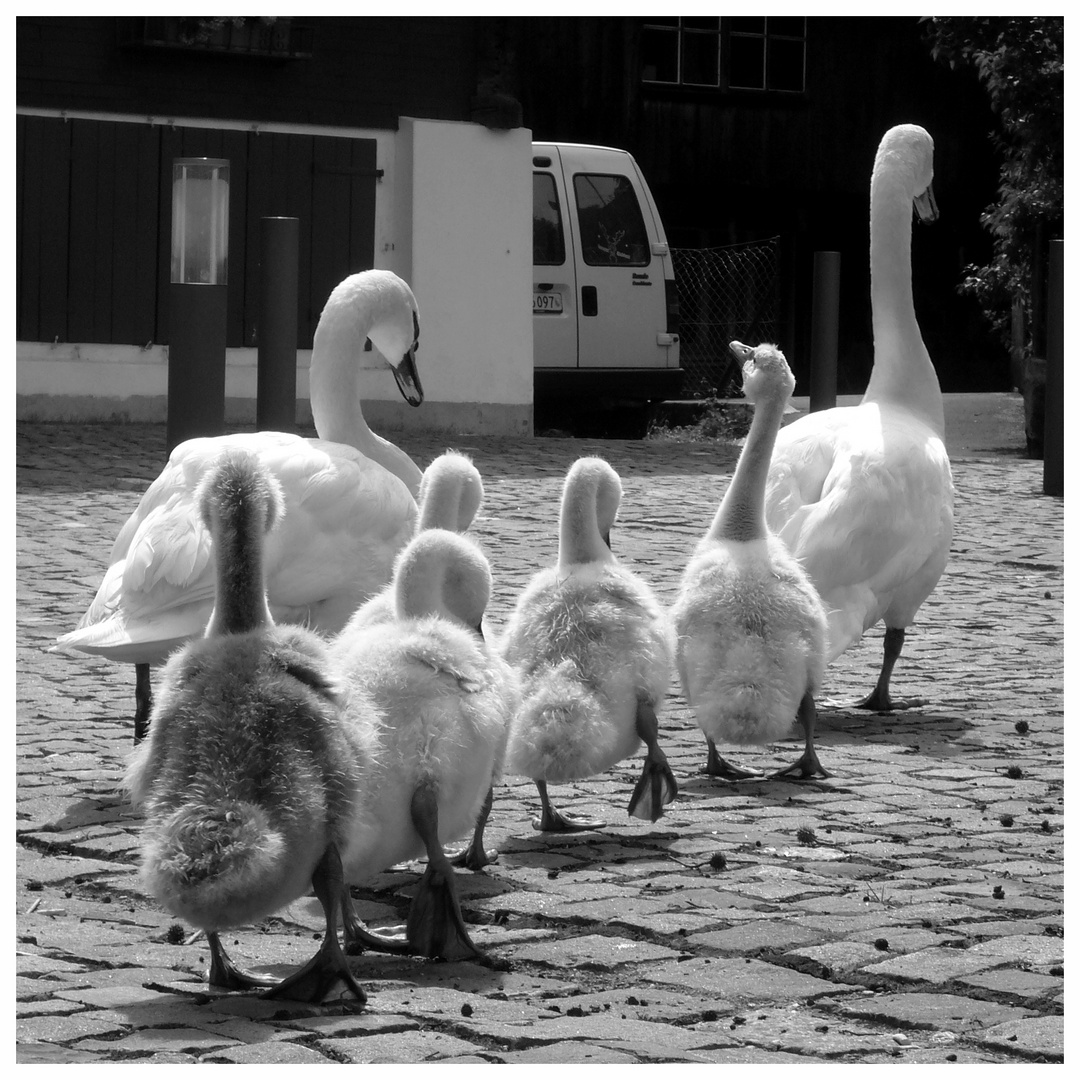 Spaziergang in der Stadt..