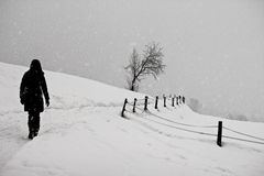 Spaziergang in der Stille