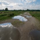 Spaziergang in der Wahner Heide