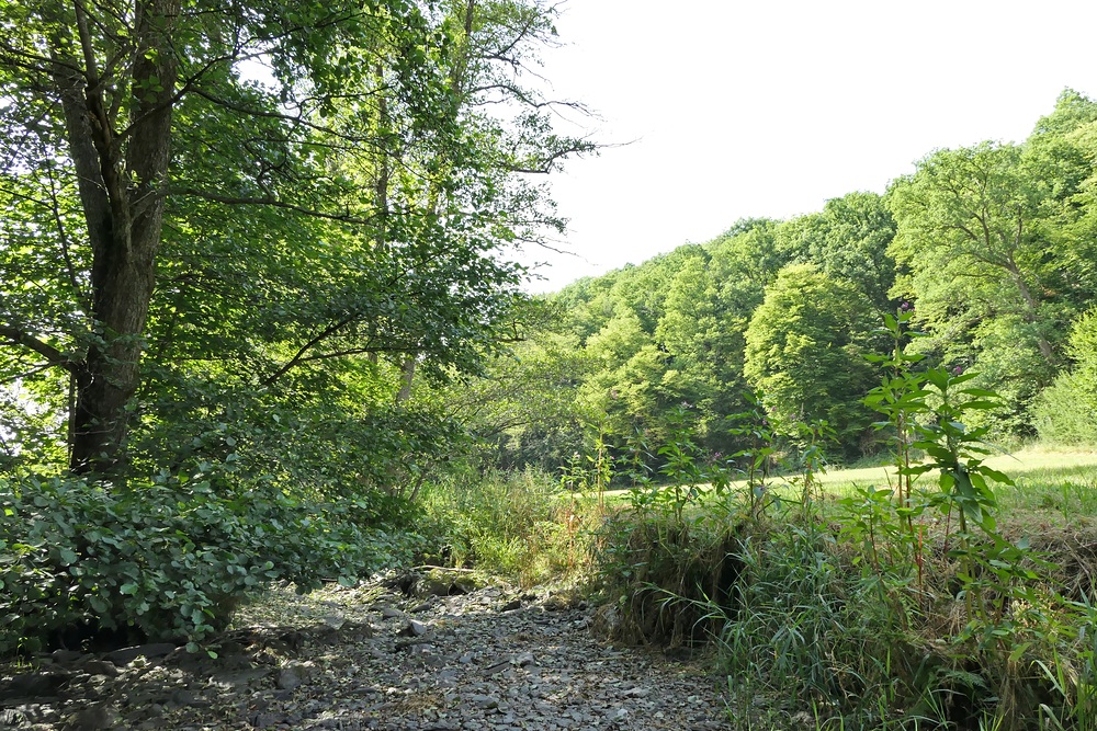 Spaziergang in der Weil 10