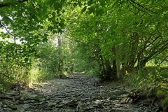 Spaziergang in der Weil 14