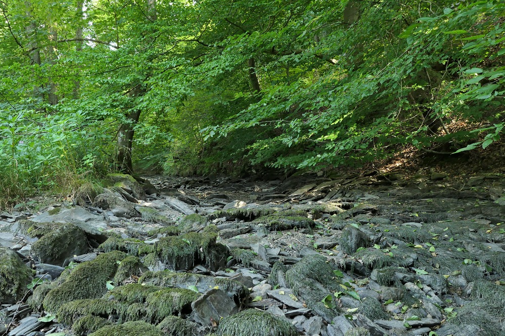 Spaziergang in der Weil 16