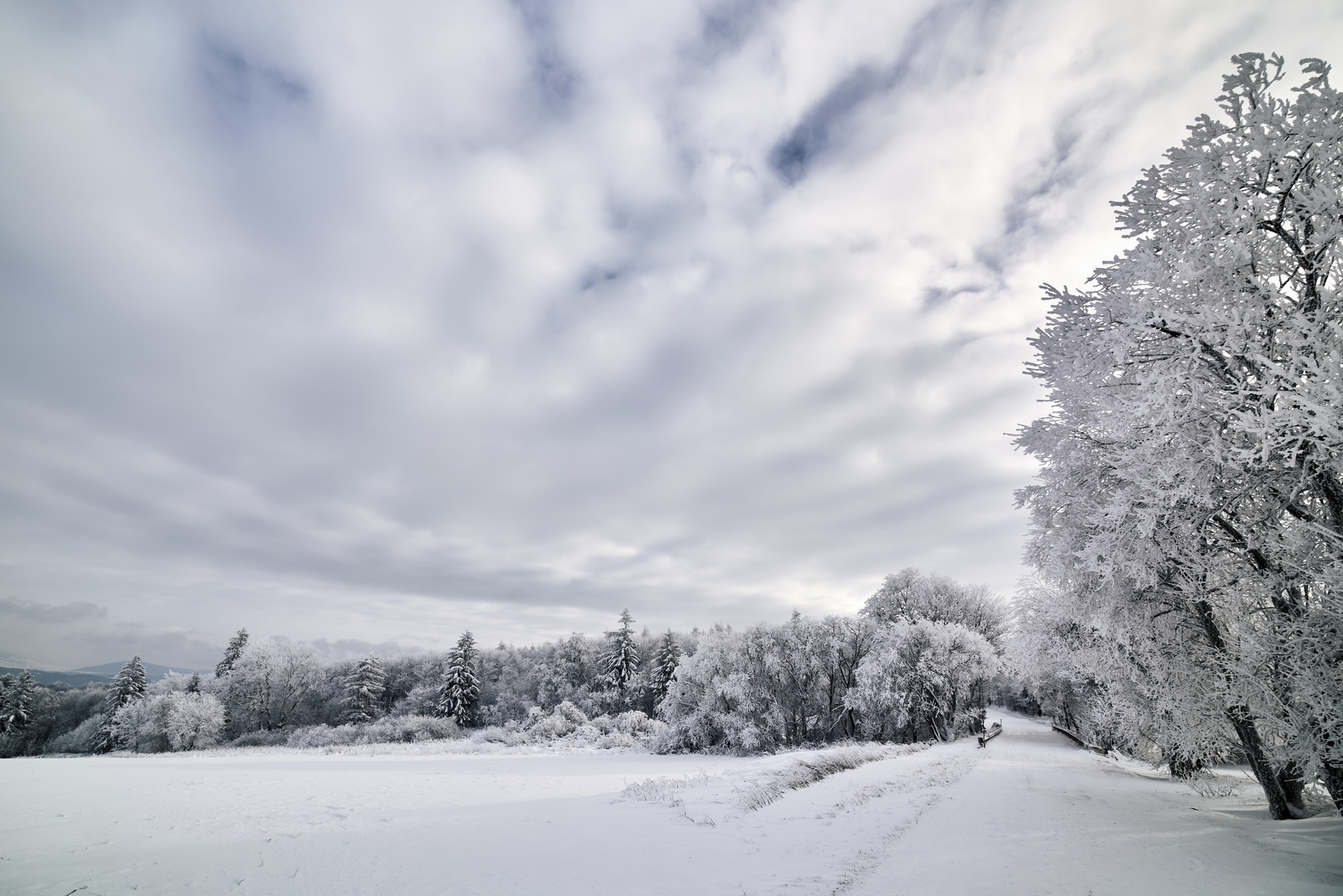 Spaziergang in der winterlichen Rhön