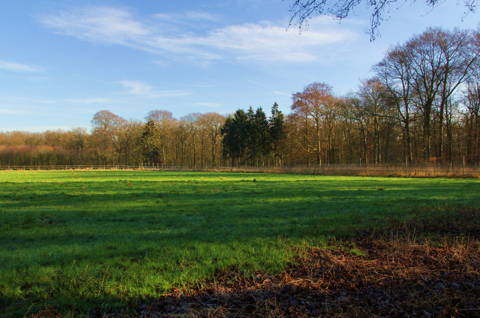 Spaziergang in der Wintersonne :)