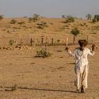 Spaziergang in der Wüste Thar, Rajasthan