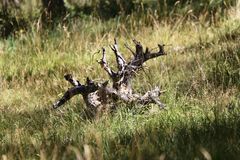 Spaziergang in Dévoluy in der Provence