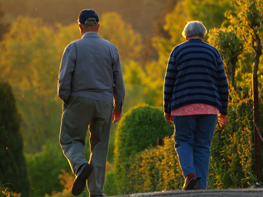 Spaziergang in die Abendsonne