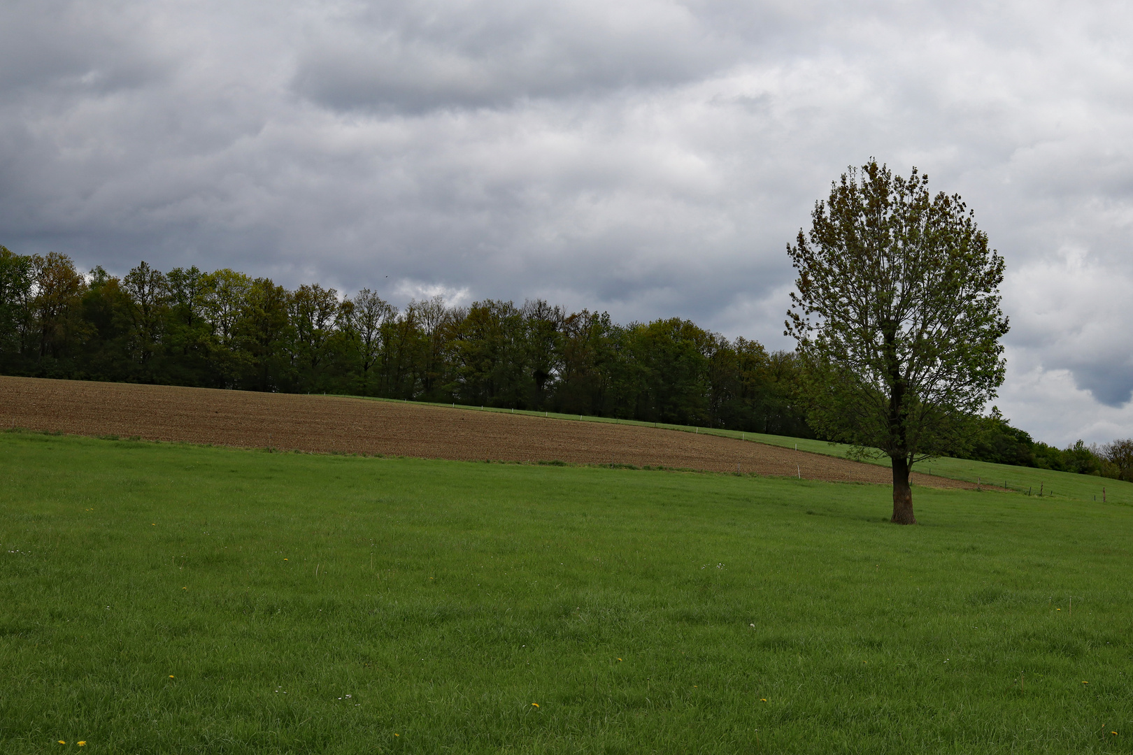 Spaziergang in Engelskirchen