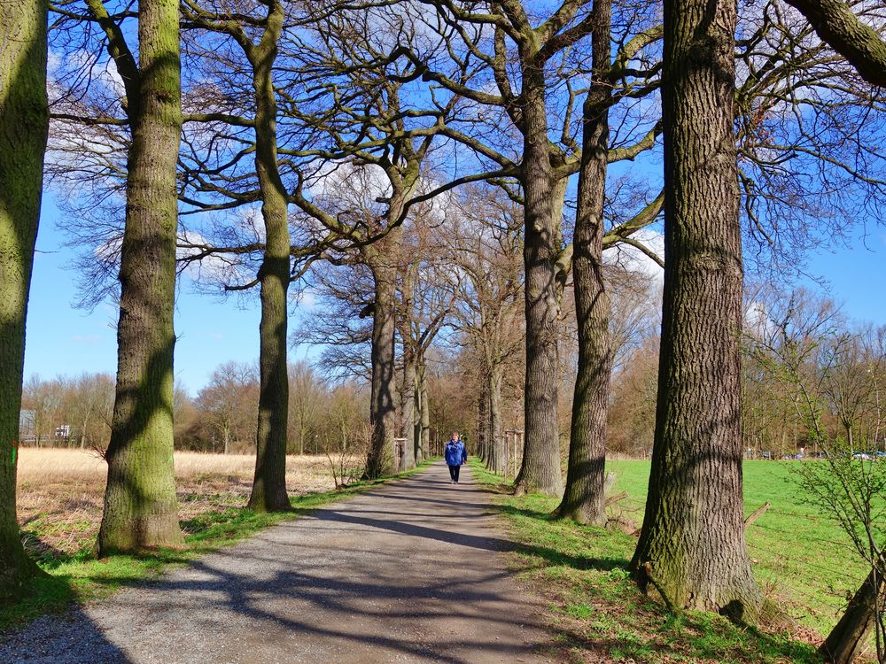 Spaziergang in Gelsenkirchen am Wasserschloss Lüttinghof