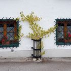 Spaziergang in Hallstatt...