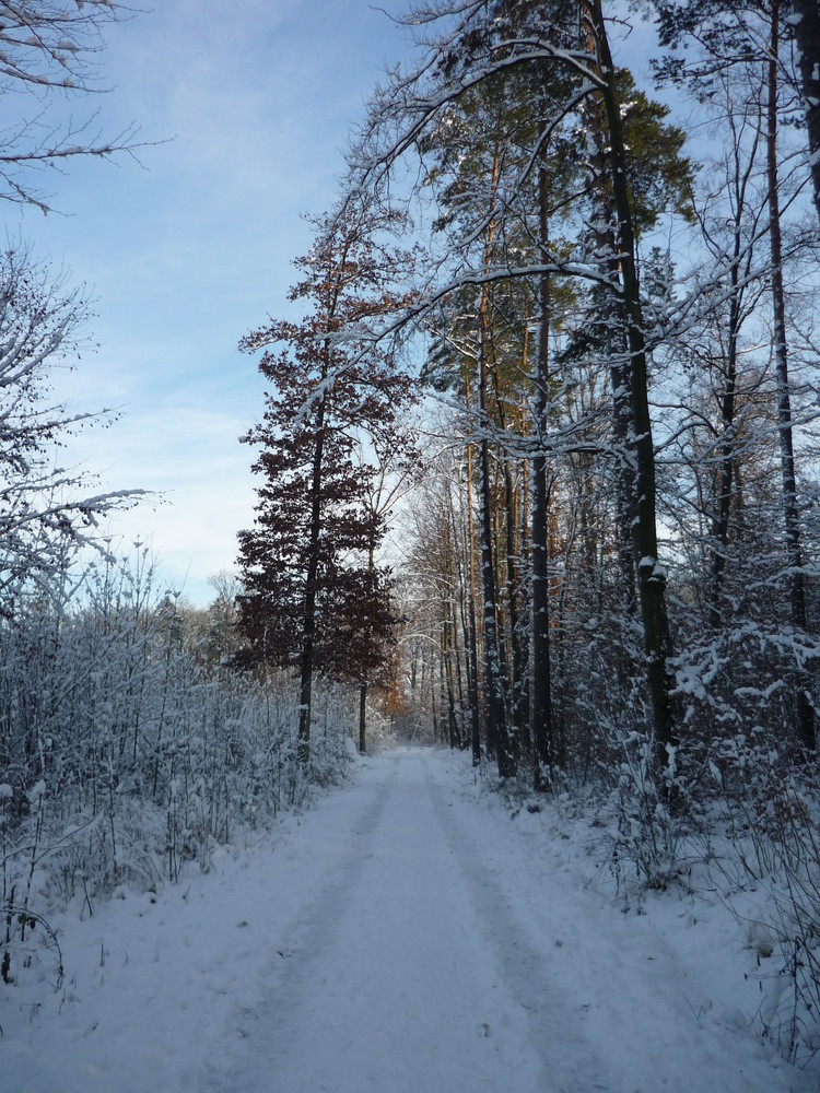 Spaziergang in Hoffeld/Stuttgart