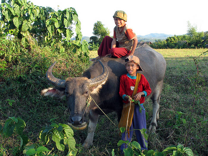 Spaziergang in Hsipaw