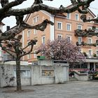 Spaziergang in Lindau