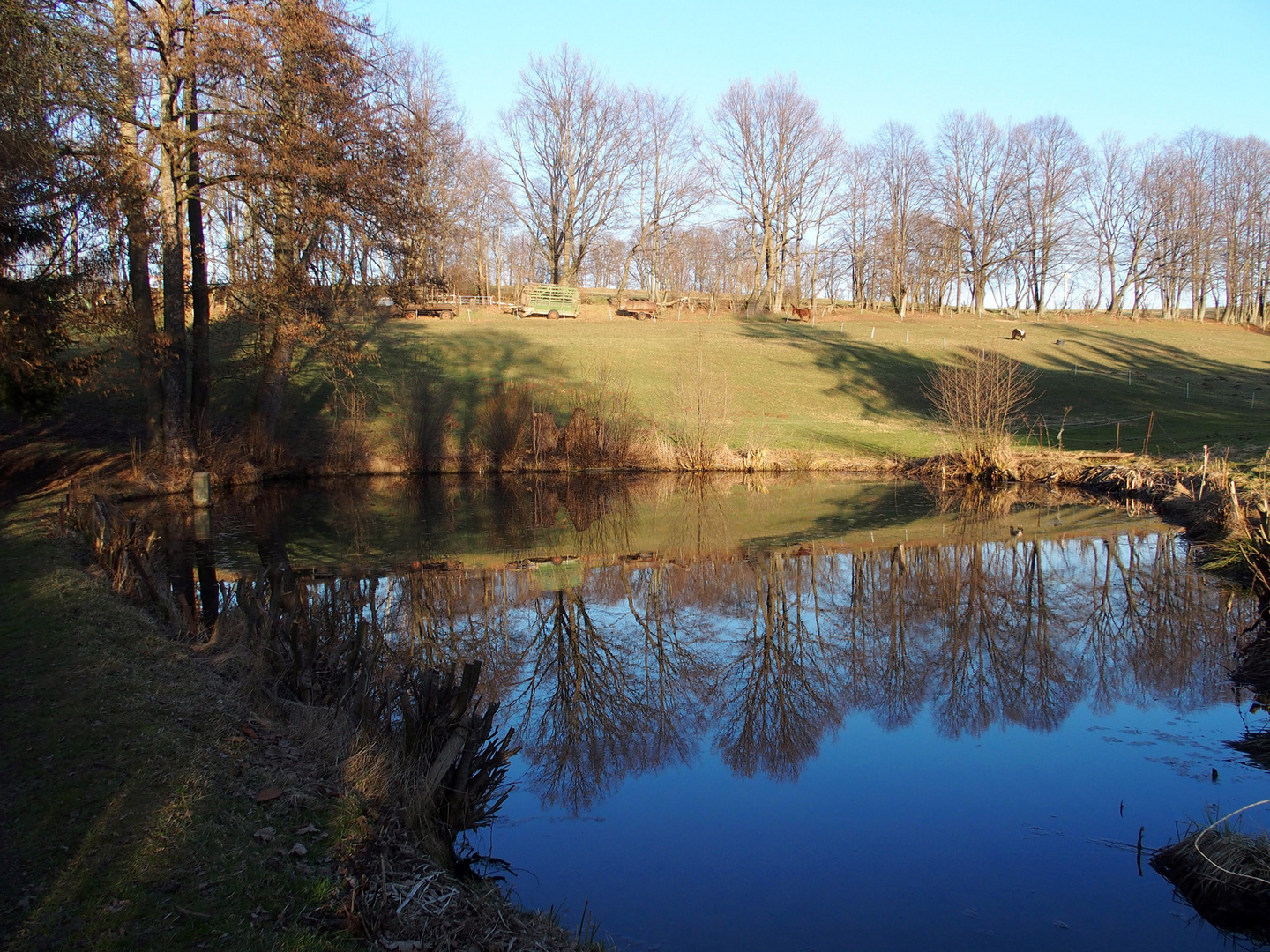 Spaziergang in Lobsdorf