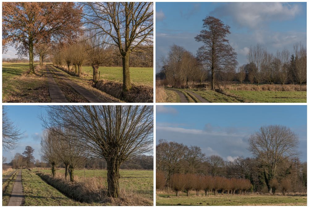 Spaziergang in meinem Dorf-2