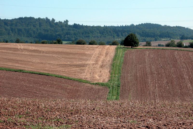 Spaziergang in Mittel-Gründau