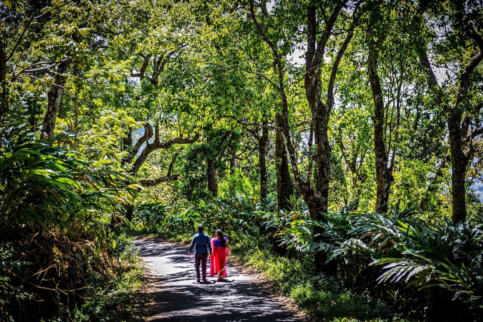 Spaziergang in Munnar