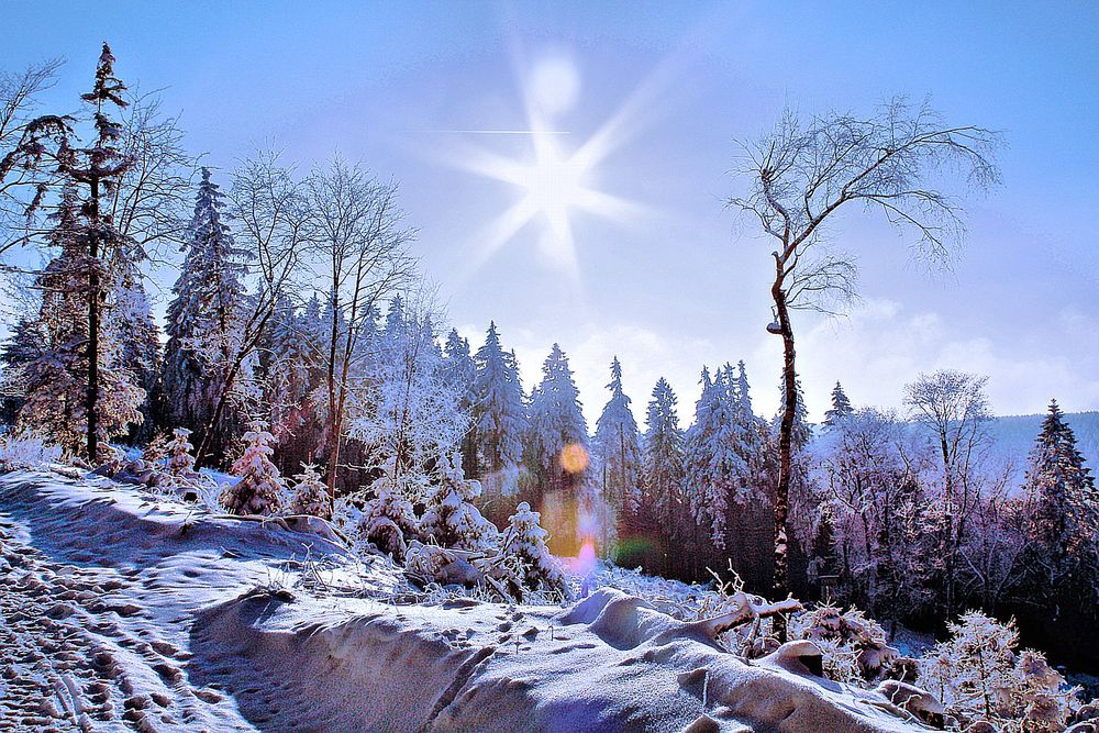 Spaziergang in Oberhof