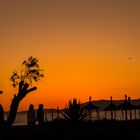 Spaziergang in Playa de Palma