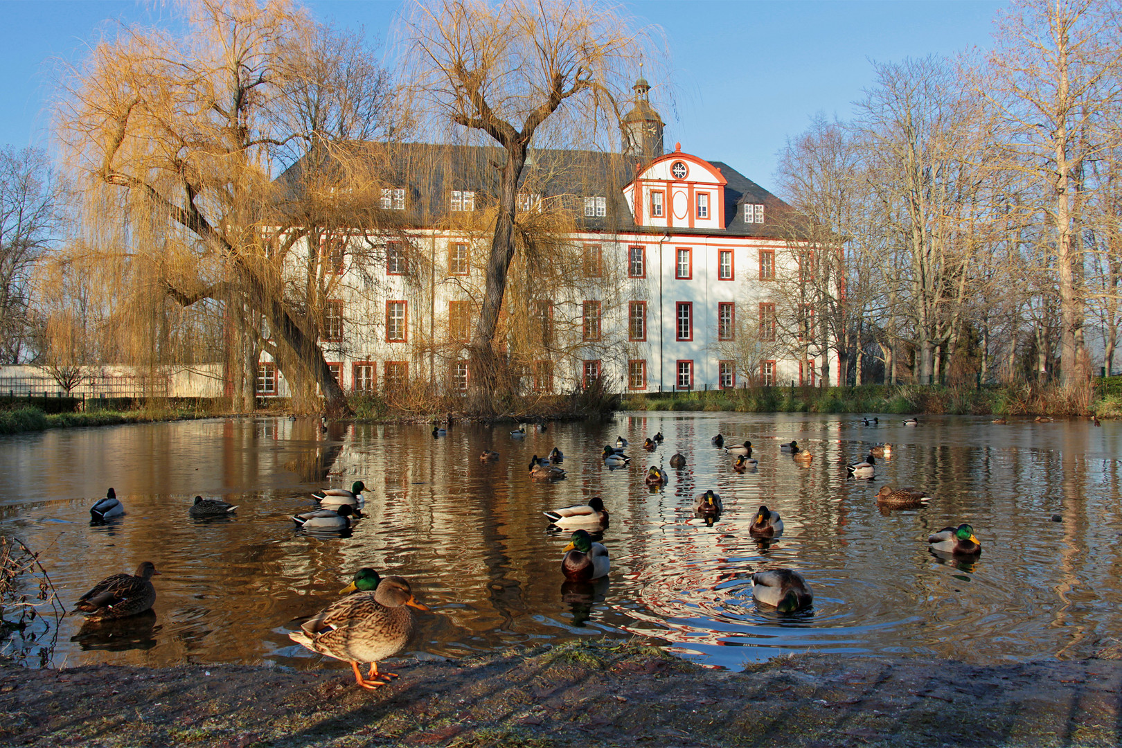 Spaziergang in Saalfeld (17) - Teich im Schlosspark