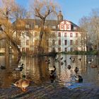 Spaziergang in Saalfeld (17) - Teich im Schlosspark